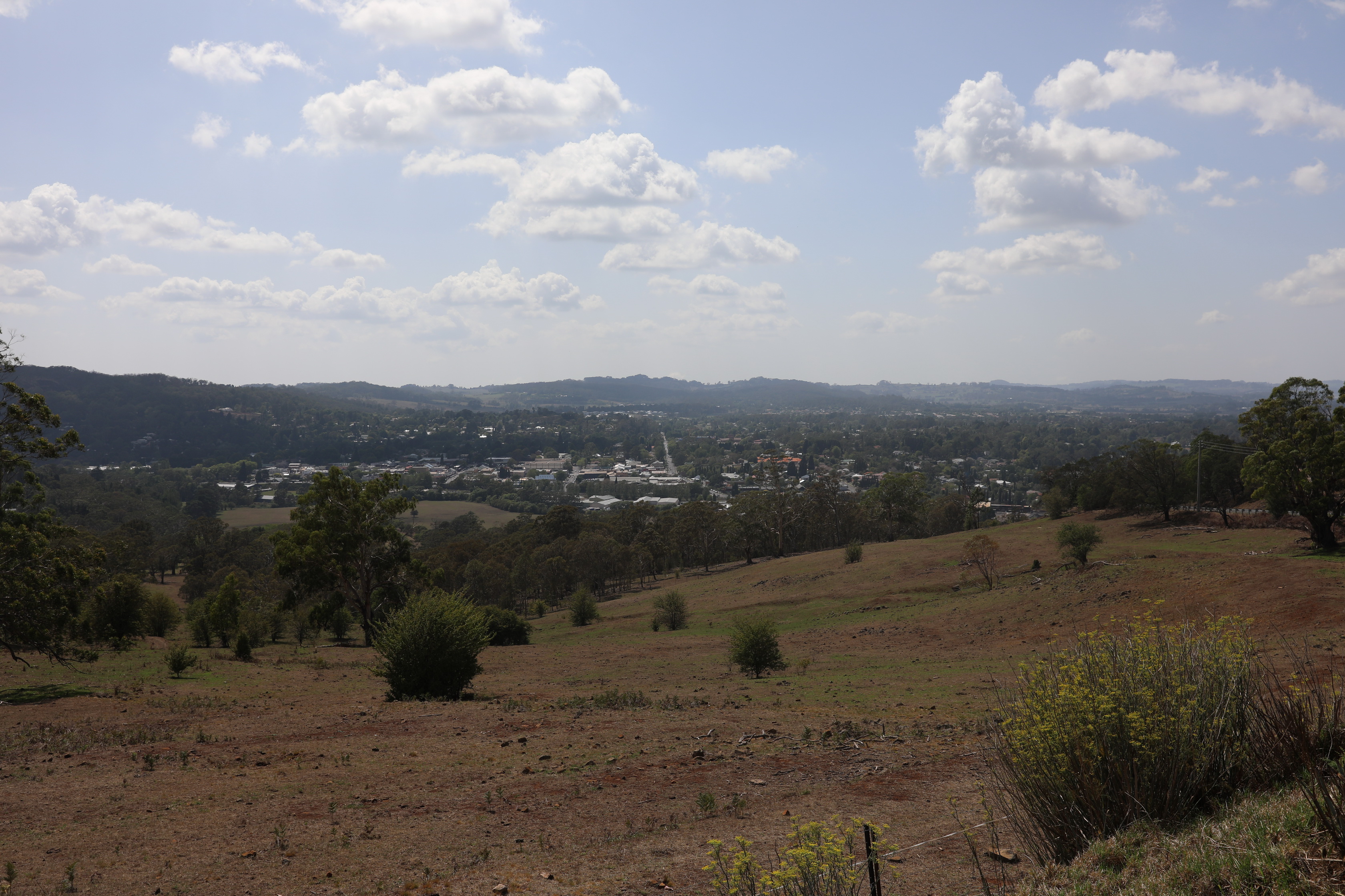 2020 01 26 10 44 32 Canon EOS 5D Mark IV 0042